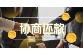 连山遇到恶意拖欠？专业追讨公司帮您解决烦恼